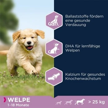 EUKANUBA Puppy Lamm & Reis 12 Kg 2 EUKANUBA Puppy Lamm & Reis 12 Kg – Bild 2