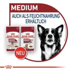 ROYAL CANIN MEDIUM Adult 10x140g -Trixie Verkäufe 89d972ad7b4e2530c6050fa10b41681c85a66fa8 9003579008362 8