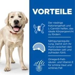 Hill's Science Plan Light Adult Large Breed Mit Huhn 18 Kg -Trixie Verkäufe 8a2f8f0cfb00e9d10c3215f8584bc7fdb5ea7eb1 52742025902 4