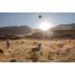 Ruffwear Hover Craft™ Spielzeug Orange -Trixie Verkäufe 8b74389fdbc592fa493fa8449b24cad477f71e65 1364297 de DE d7bfcddc5967d79946d8e13f648d6053d56005c9XiBl8J