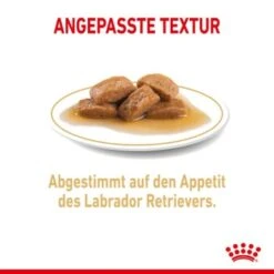 ROYAL CANIN Labrador Retriever Adul Stückchen In Soße 10x140g -Trixie Verkäufe 908d2bfcf8b7046cd23a14cb7b707cf7b2315fea b65885ba483fc622da80d0c8a5f75f1f8003e0ca