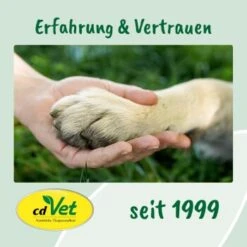 CdVet Ohrenpflege 20ml -Trixie Verkäufe 91ea9619f0a6a9470d4078716478f9946127aa43 1033310 de DE 9de31ae422c889f65e12a1085ee6ba81b11de6a3JFtiHC