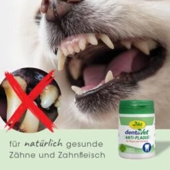 DentaVet Anti-Plaque -Trixie Verkäufe 930f9318d5c211bcb06b98400e0d70741ee546d1 1663012 de DE 53394b8e93fca183b5ce802502d2065b0648877dMkYpya