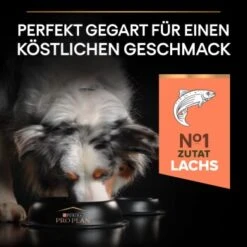 PRO PLAN Optiderma Medium Adult Sensitive Skin 14 Kg -Trixie Verkäufe 975c3c1eaa0ff309e6a4f4d9d25b97d74ad7910e 1206429 3