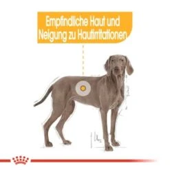 ROYAL CANIN Dermacomfort Maxi 12 Kg -Trixie Verkäufe 978db22590ba776f59a9c9320bcbe8c33f40379a 1376168 de DE aosa 5