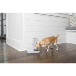 PetSafe Futterautomat Für 2 Mahlzeiten 23 PetSafe Futterautomat Für 2 Mahlzeiten -Trixie Verkäufe 98670f242f118bad629edcf021dc784c6a55633d 1343837 2