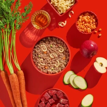 Fred & Felia FRED 10x390g Rind Mit Nudeln 4 Fred & Felia FRED 10x390g Rind Mit Nudeln – Bild 4