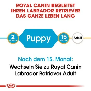 ROYAL CANIN Labrador Retriever Puppy 12 Kg 2 ROYAL CANIN Labrador Retriever Puppy 12 Kg – Bild 2