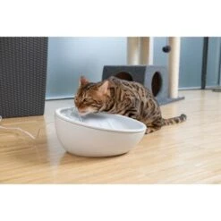 AniOne Keramik-Trinkbrunnen Waterfall Weiß Ohne Ersatzfilter -Trixie Verkäufe 9ab78e65ebaf72b76c537cd735c5a7cd6cd4d027 a897eca6393f48ff54c98954a2b189a96196cfbd