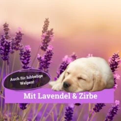 BeG Buddy Körbchen Spray Beruhigung Stress -Trixie Verkäufe 9d7bd8e422fc117daaa45f2eadc4e2e342f5d199 1669471 de DE 146feb38dd17e6baa3c59778f26e903482106de9cso8xz