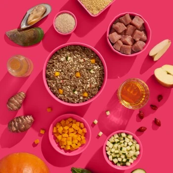 Fred & Felia FRED 10x390g SENIOR Schwein 6 Fred & Felia FRED 10x390g SENIOR Schwein – Bild 6