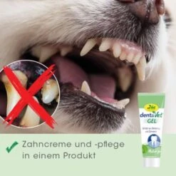 DentaVet Gel 35g -Trixie Verkäufe a0d4d3bd9437af6bafea1b3b7a3c5a28814220c7 1249039 de DE 4ce29d2ba67554731965330067a7d46dd701a488pV84j2