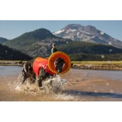 Ruffwear Hydro Plane™ Spielzeug M Orange -Trixie Verkäufe a3976cd8510df92d7b86f42c35fd984bc0313421 1364300 de DE 7e1ea9adae25d55e79a8aed2cc6dc797ac8d0d03R1qvUL