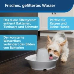 PetSafe Trinkbrunnen Streamside -Trixie Verkäufe a4863bb01c9defc206f3abadb7407b11767619bd 1423698 de DE d7c376710365041814bb26a7ca9d55a6a9011fd8Nm0GoI