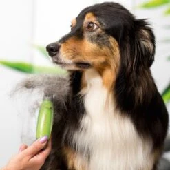 Moser Unterwollrechen 5 Moser Unterwollrechen -Trixie Verkäufe a9457afef8cc9854b1cc05428060e6aca1aa62d7 f209ef3f70da272484eca7394d5156f09925de7d