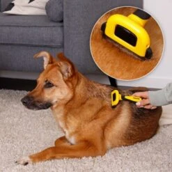 Lionto Haustierbürste, Zupfbürste -Trixie Verkäufe a99a14a7250fd4e501ec529126934f0a8e973480 1665908 de DE 47ac745e0253c5bc3fba7e69b1681c237a8f3a97orElkU