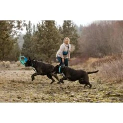 Ruffwear Pacific Ring™ Spielzeug Blau/ Türkis -Trixie Verkäufe aaae4ecd59db92ffe25787fd56b7315d42974ecb 1444351 de DE f747ae339bc2beff156a317c539c1237b854177bd9ZZMN