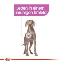 ROYAL CANIN Relax Care Maxi 9 Kg -Trixie Verkäufe aae200dd20a34c1bd2ab53469bd083be6075a270 3f0541ec8923021cfa4a489ac16d527744f53a6e