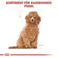 ROYAL CANIN Poodle Puppy 3kg -Trixie Verkäufe ac7beaf6b1c5c47c9c7e099b992a7cd84099c8bf 01c5ba0266cc652d370d5594f42dbb0eaf31ac7b