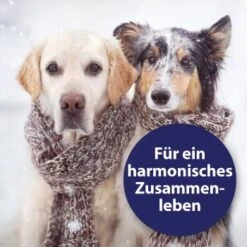 Canosept Home Comfort Beruhigungsspray Für Hunde 100 Ml -Trixie Verkäufe adccfc5a19c76ad9b128183d6445b9a0ce37b36d 1265539 de DE Canosept 2