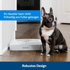 PetSafe Futterautomat Für 2 Mahlzeiten 32 PetSafe Futterautomat Für 2 Mahlzeiten -Trixie Verkäufe afccbd633c58c8351d6efc6cc5102f36b818906b 1343837 10