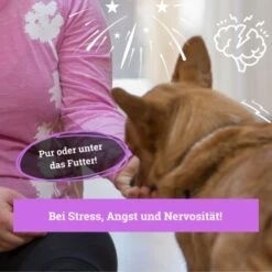 BeG Buddy Beruhigungsmittel Anti Stress -Trixie Verkäufe b103d91cb68ed72492e1a80be5084c66da746197 1457250 de DE 08609e0fa51d07263b2814ccdd31d9130bc0e999N5hPoA
