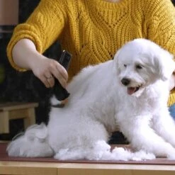 Moser Schermaschine Arco Pro 14 Moser Schermaschine Arco Pro -Trixie Verkäufe b131ca6d4dc18dbcff5826048d13c7a9865a2f22 9527aaf3ea2ef7fd3da12225a4b042dbe7fd8159