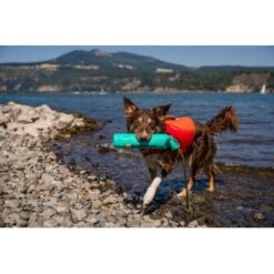 Ruffwear Lunker™ Spielzeug Blau/ Türkis -Trixie Verkäufe b1ff74faaf51c648517e284bc677372b2de917b1 1364294 de DE 872baa13c3c684e3cd884d6a02e37e7e22ad686cLNC7EY