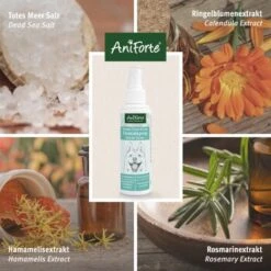 Aniforte Dentalspray Zahnpflege Spray 100ml -Trixie Verkäufe b8c2494df30b706b215daba4b3b66c8a0a3adb3b 1439278 de DE f771ceb2289f6e14df78bea1815642d81ce3e3cf9ASqvV