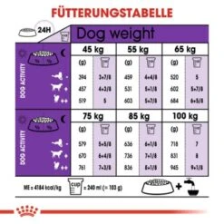 ROYAL CANIN Giant Adult 15 Kg -Trixie Verkäufe bb50d7e015d4deee5442700d2381e79cae0c356d 8aaae0d8361a55055b1ede5a8e69fe3936511e10