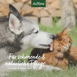 Aniforte VET Ohrenreiniger Kamille 250ml -Trixie Verkäufe bb72cf922fff80c2ad100a34a6028fcdc6e18ba8 1441191 de DE 04511de56e799f1986950cb040592ffe3d335883KMQ73o