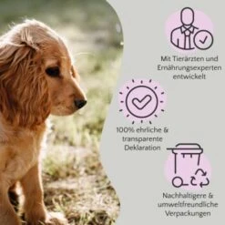 FAVLY Petfood FAVLY Probierpaket "Meat Roll" -Trixie Verkäufe bfb84361d73f660a80f9bdd3b9c7b03b3a337624 1475312 de DE 908544d2c24927cde4ce8f1acefe41ebea7bec296Yut1c