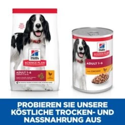 Hill's Science Plan Adult 12x370g Huhn -Trixie Verkäufe c436bb86b2bb768470713b4c88ec769793ca6f5f 52742050782 7