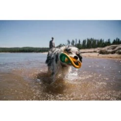 Ruffwear Hydro Plane™ Spielzeug L Blau/ Türkis -Trixie Verkäufe c85f56c174e45f26bb8b85eb8209e1187b03cb62 1364299 de DE 9aa31f36273b943af3517e0584e57ea49be3ad7aNQkaUi