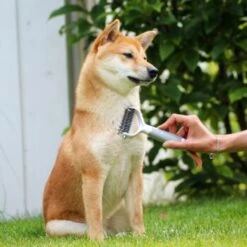 Schlitzohr Unterfellbürste Cookie -Trixie Verkäufe c9cd59c081d200ca81ad0c82605d0c00181da6d3 1484682 de DE 6b20efbbad12aeb1dc053be9b5fd63024dae5828w0Fa0l