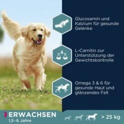 EUKANUBA Adult Large Breed Lamm & Reis 12 Kg -Trixie Verkäufe ceda915d725944faec5c4ce0ca3f1aa28310f50d 35b07eba0eee28c190ee2ea2908a740198070bd5