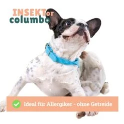 BeG Buddy Trockenfutter Insekten 10 Kg 12 BeG Buddy Trockenfutter Insekten 10 Kg -Trixie Verkäufe cf116b07da699229c95db961fe6b3149884d17ce 1457249 de DE 4e178ddbc2b2fdbf0c31f82dc0c4f17ba0e1886aNH54ct