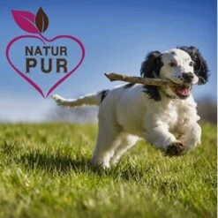 Fit-Crock Active Lamm Mini 10 Kg -Trixie Verkäufe d086dad7100dbdf41486dc1e184e8b3e19e70f2f 1669874 de DE e6cef6c805493de794606a88a99e94e07eba83d7iihYJV