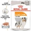 ROYAL CANIN Coat Care 12x85g