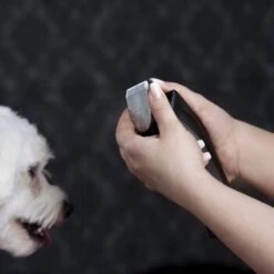 Moser Schermaschine Arco Pro 19 Moser Schermaschine Arco Pro -Trixie Verkäufe d1c65d2d167a6d8fa4a6793a53ee3362d025451e ecb090312fbe9e8eac9c719cb575336bebaad472