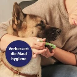 Canosept Zahnpflege-Set Für Hunde -Trixie Verkäufe d3527ed20311c26905cc21d326812cefdd56476d 1382706 de DE f1dd7678e896b8abfecbaf661ecaf238a0e628638erujn