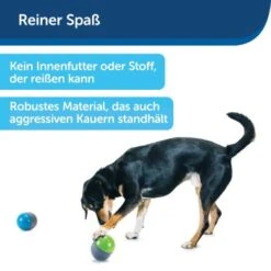 PetSafe Elektronisches Hundespielzeug Ricochet -Trixie Verkäufe d4449f153a2c132dbacdcffdb9e5bd1534d39124 1418724 de DE f83cfc689e8023f0b85b6eeadf79a2629df4d4f153I9wY