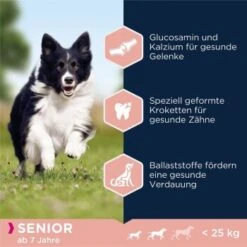 EUKANUBA Senior Small & Medium Breed Lamm & Reis 12 Kg -Trixie Verkäufe d6ab91a099af21f8767b6e3ef91e63c46e7659a9 38e1b9385153b1f6364894e35d40afe9cd5b0cab