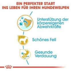 ROYAL CANIN Poodle Puppy 3kg -Trixie Verkäufe d85ac403c47aed96fc4971788a290d1a23bbe67f e0ab538c5a3f428d49f7b31083a4afb802078973