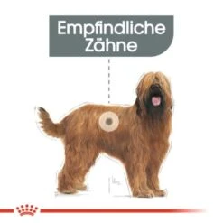 ROYAL CANIN Dental Care Maxi 9 Kg 11 ROYAL CANIN Dental Care Maxi 9 Kg -Trixie Verkäufe d879558a27b10927060f06ffe48b3b16c9a5fa05 1a0c53f3ef6bd0e9059362423d9c09b49ac2d8c6