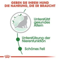 ROYAL CANIN Mini Ageing 12+ 12x85g -Trixie Verkäufe d914b80de7b105b27770d0a8b7a44e4953c403d8 1327898 de DE rc 3