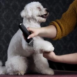 Moser Schermaschine Arco Pro 16 Moser Schermaschine Arco Pro -Trixie Verkäufe d94979d61f2023cf0118c8257a8bd4066fa8858b ed4a0b808fc43743a84927566ac43a708eadd5ba