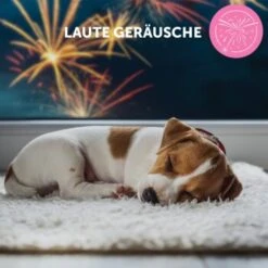 ADAPTIL Junior Halsband Anti Stress Erziehungshalsband -Trixie Verkäufe db33920bc3d21bba892bdb530582f20170b9cd84 1287044 9