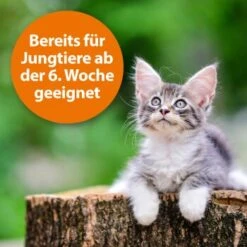 Ardap Zecken- Und Flohpuder 150g -Trixie Verkäufe dbdf009c8d0233872761402d57b066832841a21c 1341059 de DE 346ada57fd64265cd7e33fec00853a93b033d4599B7b3A