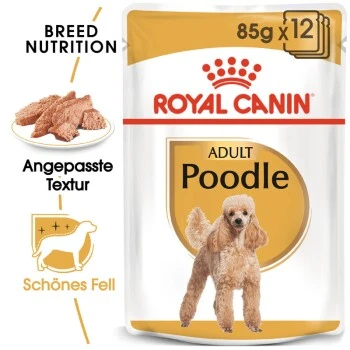 ROYAL CANIN Poodle Adult In Soße 12x85g 1 ROYAL CANIN Poodle Adult In Soße 12x85g